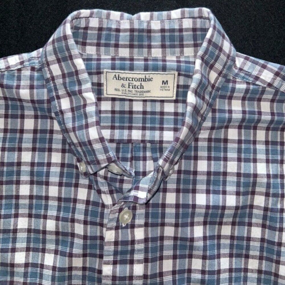 Abercrombie & Fitch Shirt Mens M Blue Striped Check Long Sleeve Button Down LOGO - Picture 3 of 4